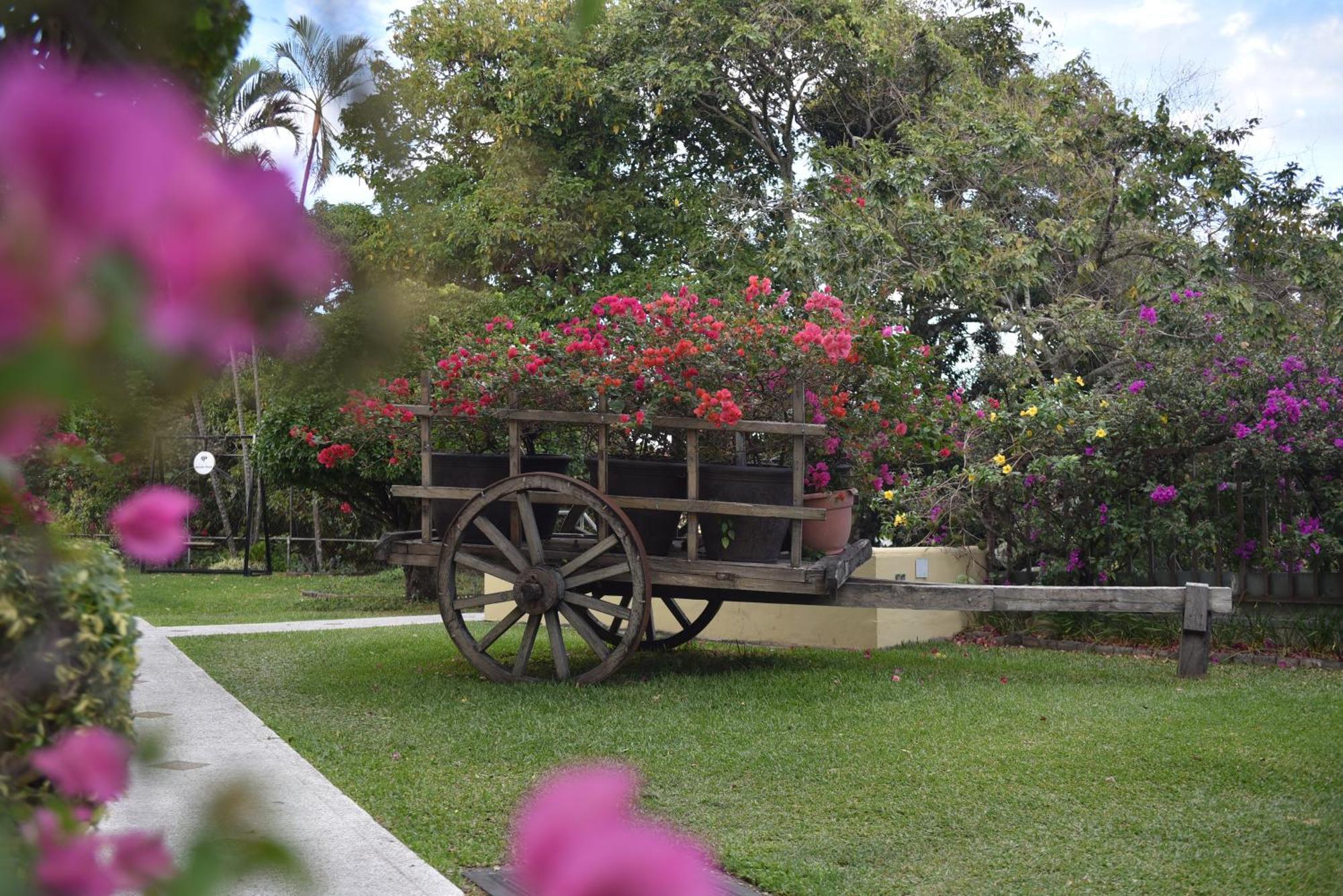 Hotel Mirador Plaza San Salvador Exterior foto